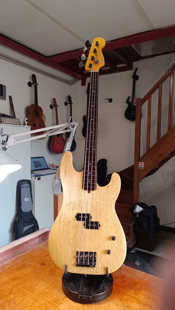 bass (13)